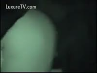 Infra red video of anal with a dog